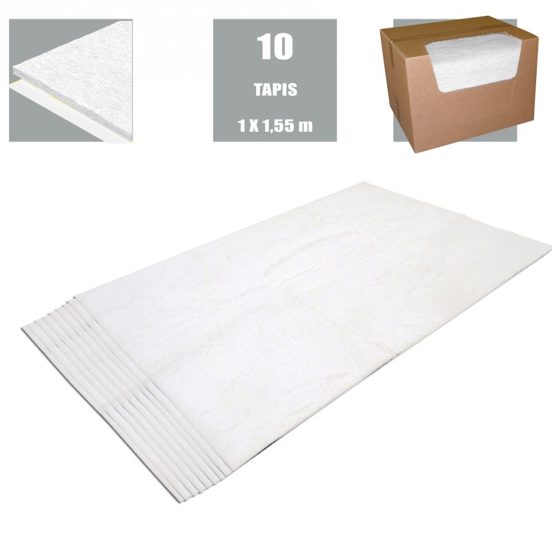 Rouleau absorbant 180L double épaisseur carton de 1 rouleau DELAHAYE