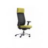 Fauteuil Ergonomique OPRA