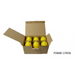 SAVON pour porte savon à clip