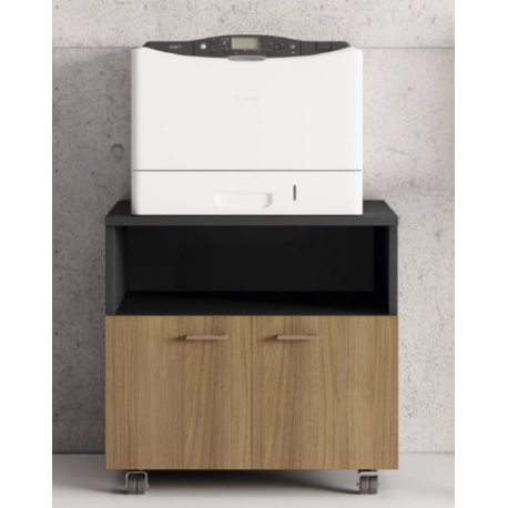 Meuble mobile pour copieur portes battantes